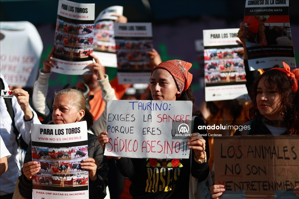 Mexico City approves non-violent bullfighting 