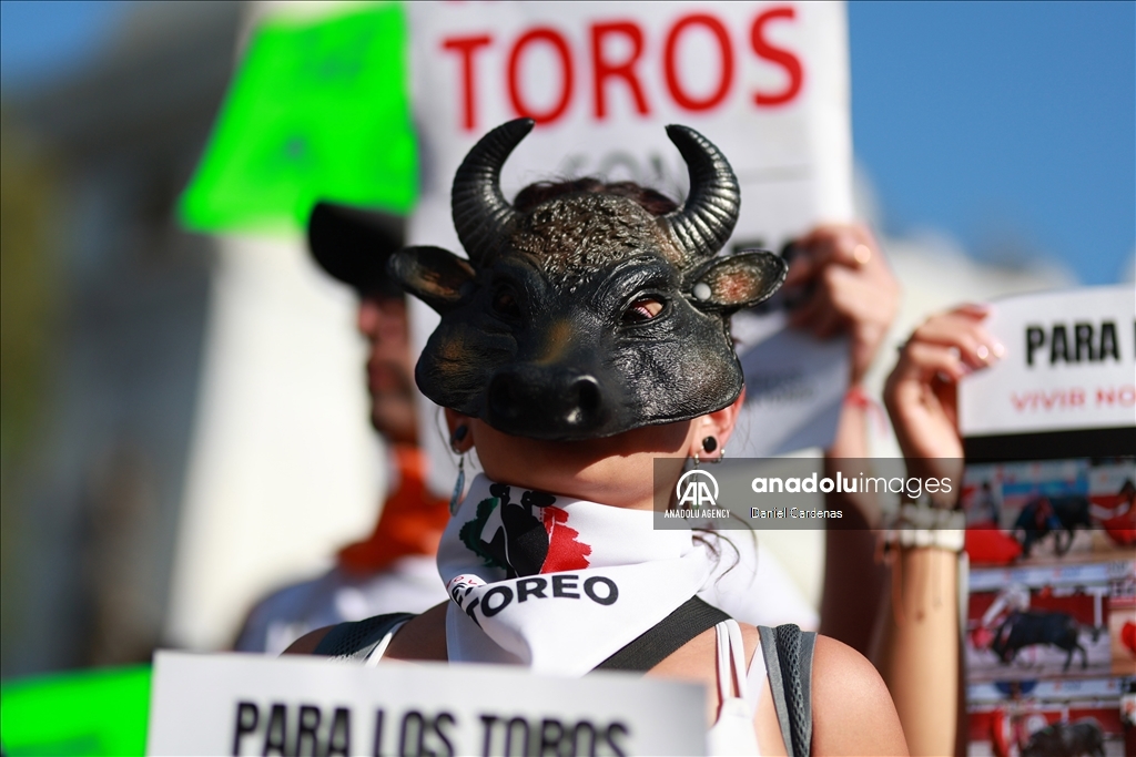 Mexico City approves non-violent bullfighting 