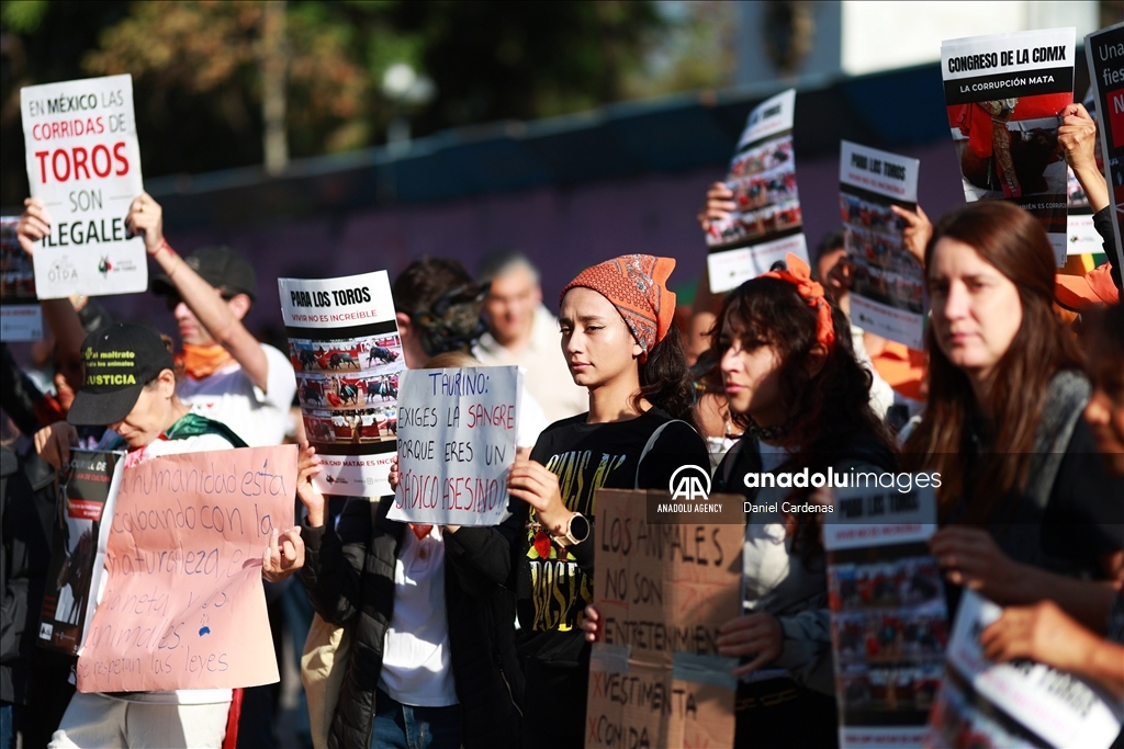 Mexico City approves non-violent bullfighting 