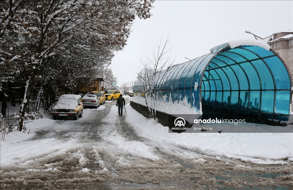 Bitlis'te kar yağışı etkili oldu