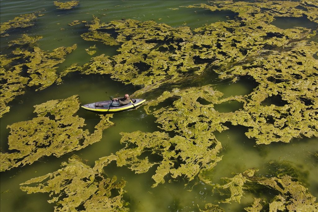 Microbialites appear with the recession of Lake Van in Turkiye