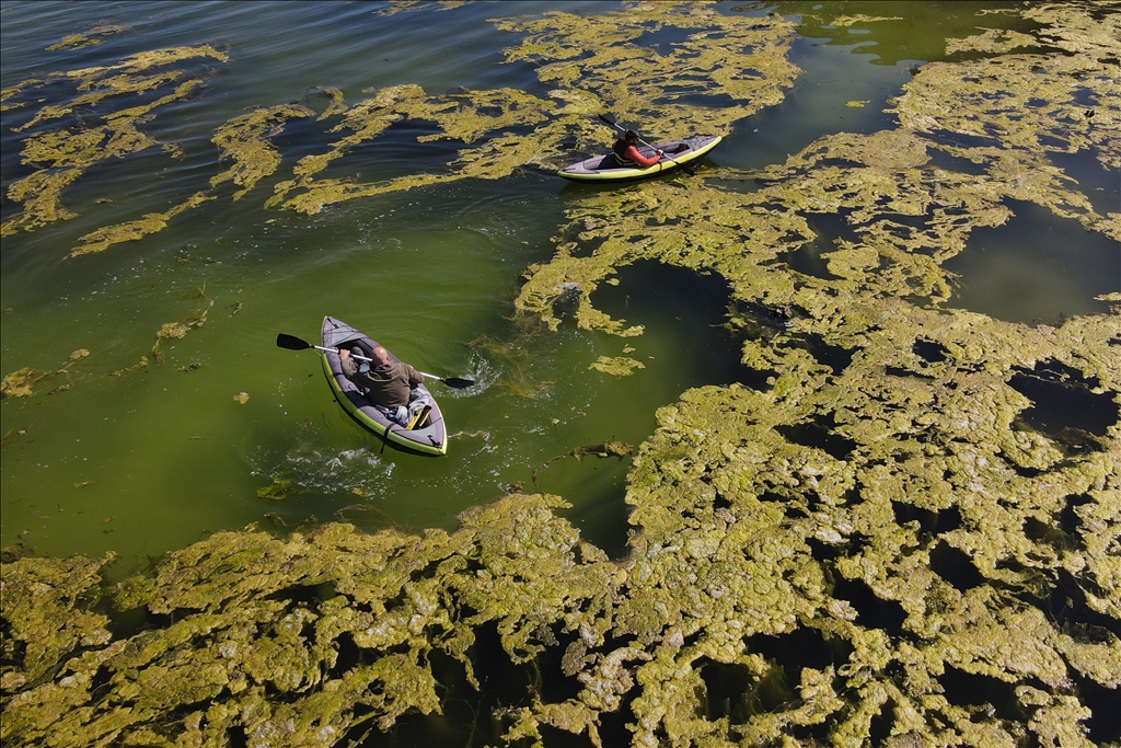 Microbialites appear with the recession of Lake Van in Turkiye