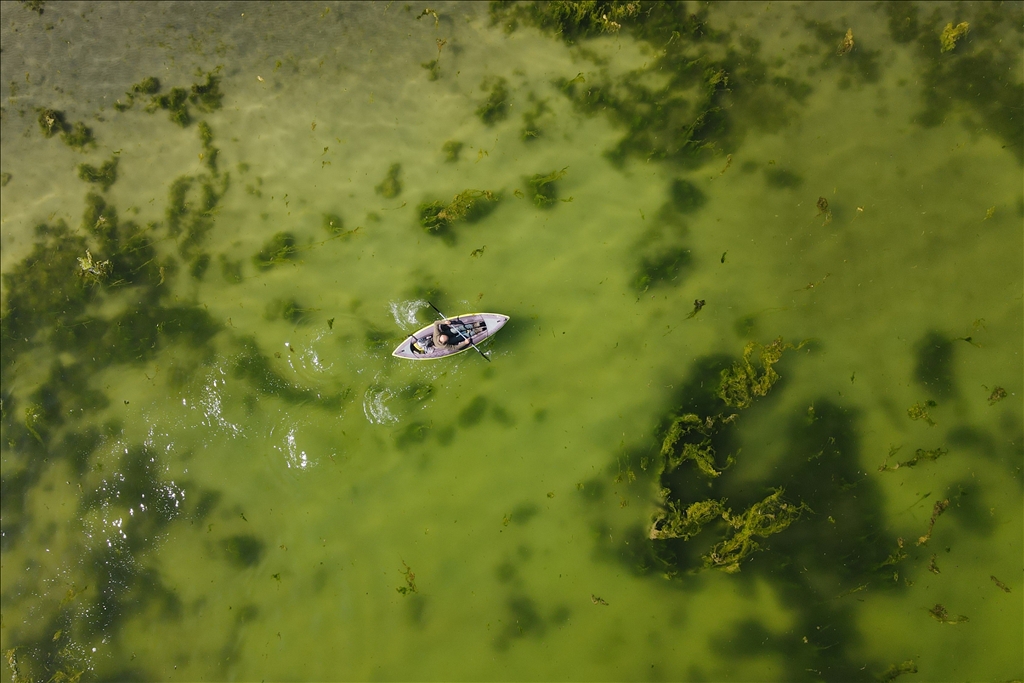 Microbialites appear with the recession of Lake Van in Turkiye