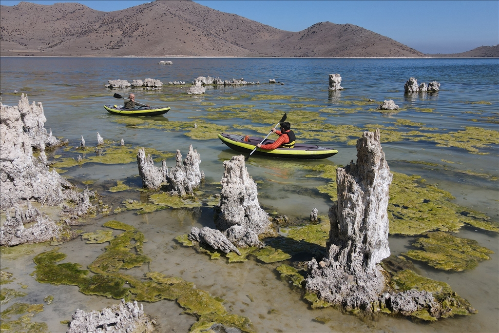 Microbialites appear with the recession of Lake Van in Turkiye