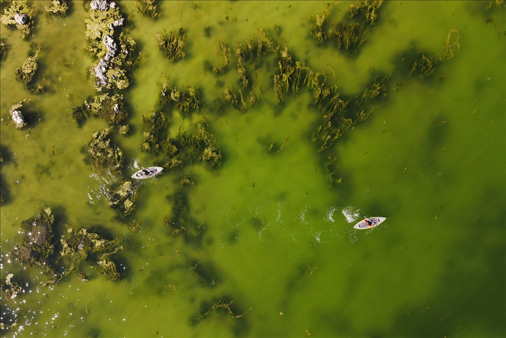 Microbialites appear with the recession of Lake Van in Turkiye