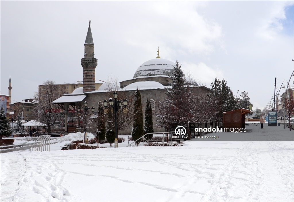 Erzurum'da kar yağışı