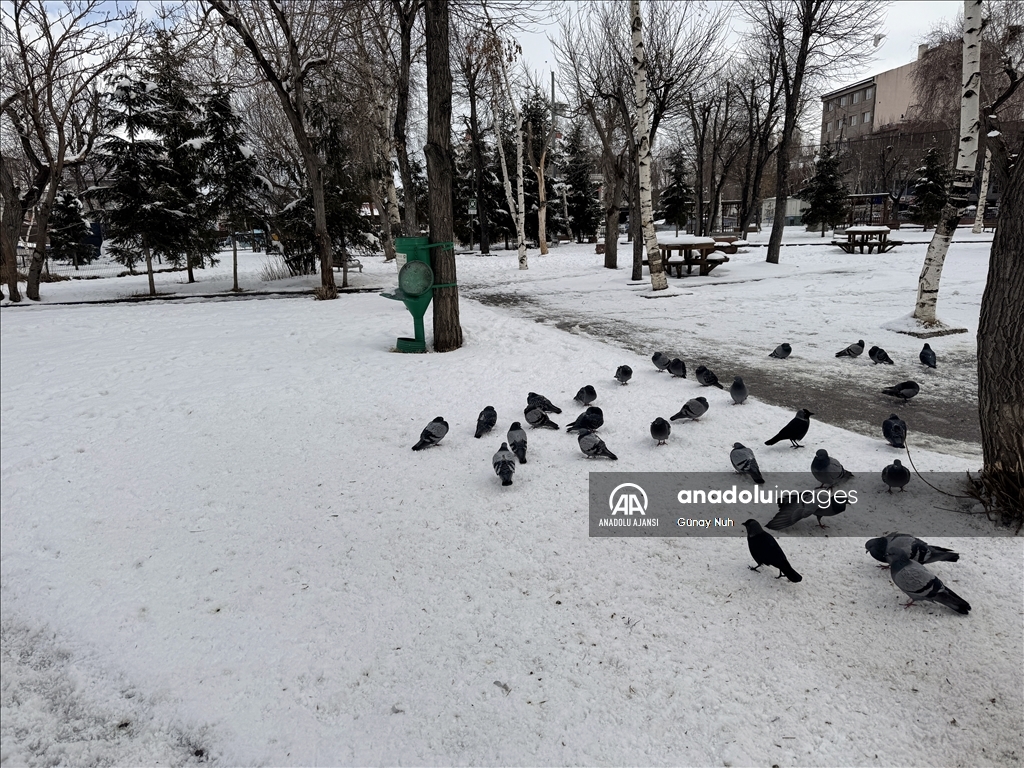 Ardahan'da kar yağışı