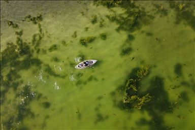 Microbialites appear with the recession of Lake Van in Turkiye