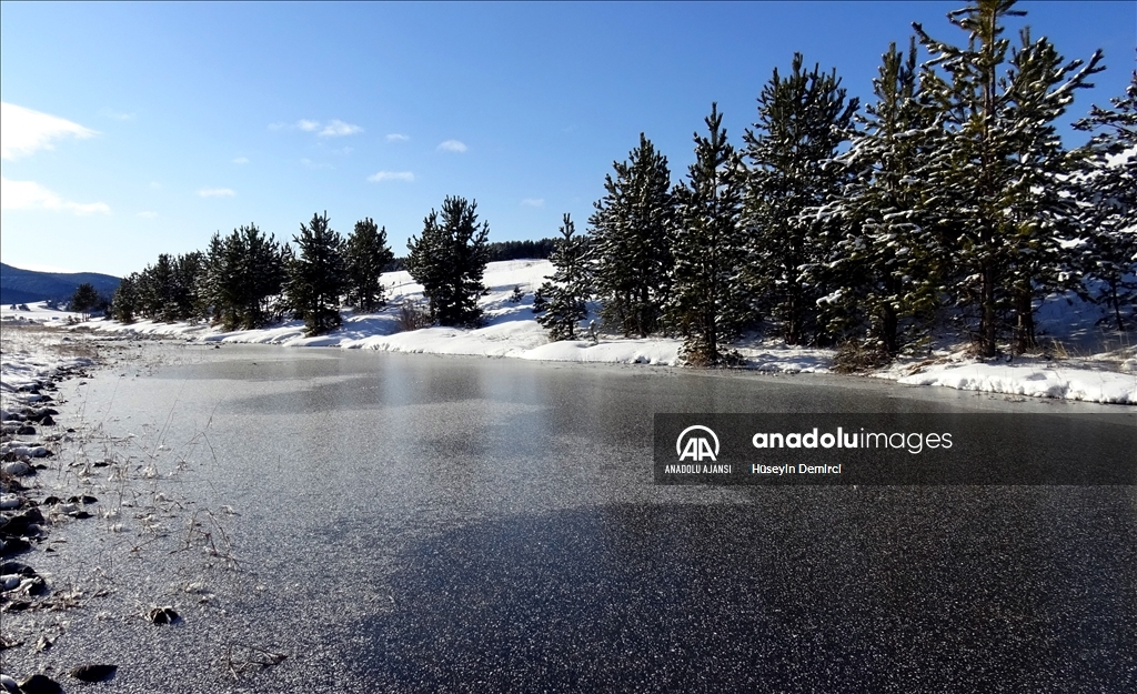 Kars'ta soğuk hava