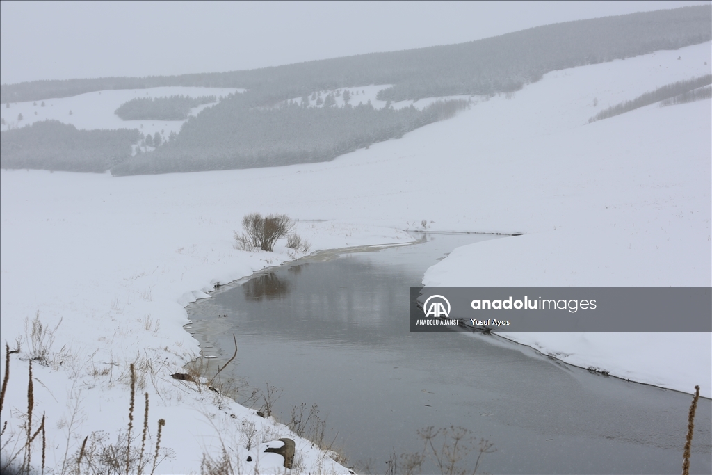 Ardahan'da kar yağışı ve soğuk hava
