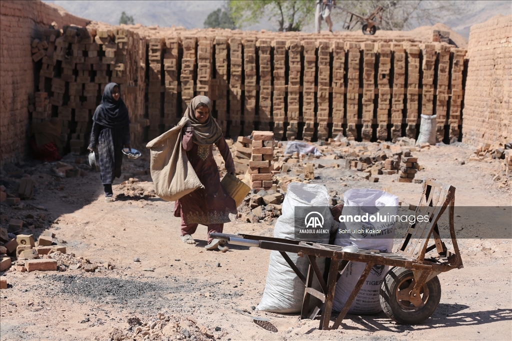 Struggling for survival in Nangarhar's brick kilns, child labor continues