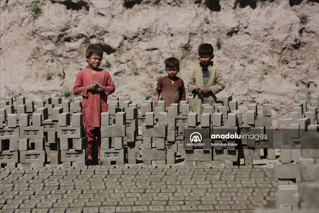 Struggling for survival in Nangarhar's brick kilns, child labor continues