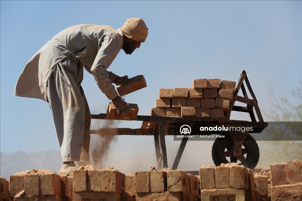 Struggling for survival in Nangarhar's brick kilns, child labor continues