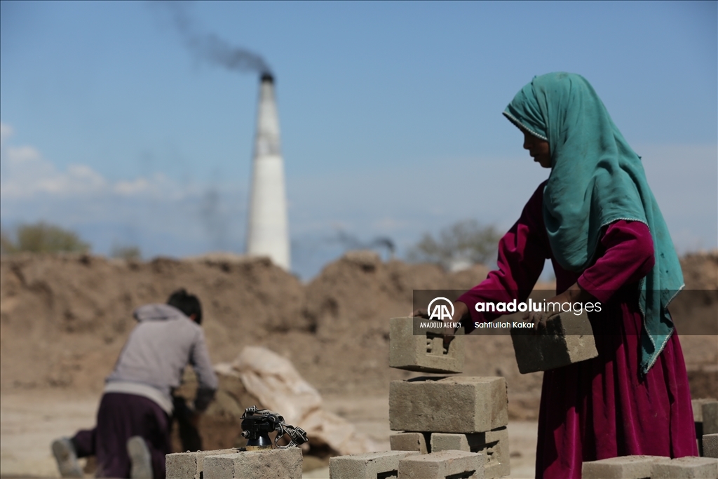 Struggling for survival in Nangarhar's brick kilns, child labor continues