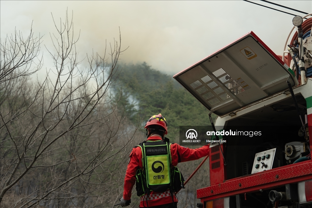 Wildfires in South Korea