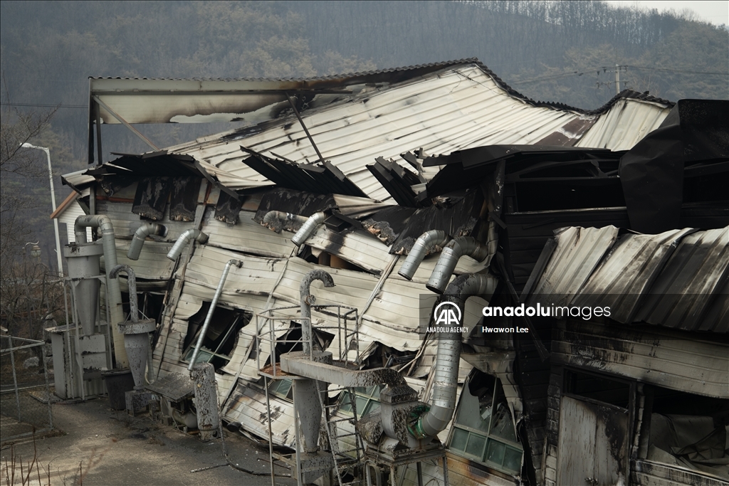 Wildfires in South Korea