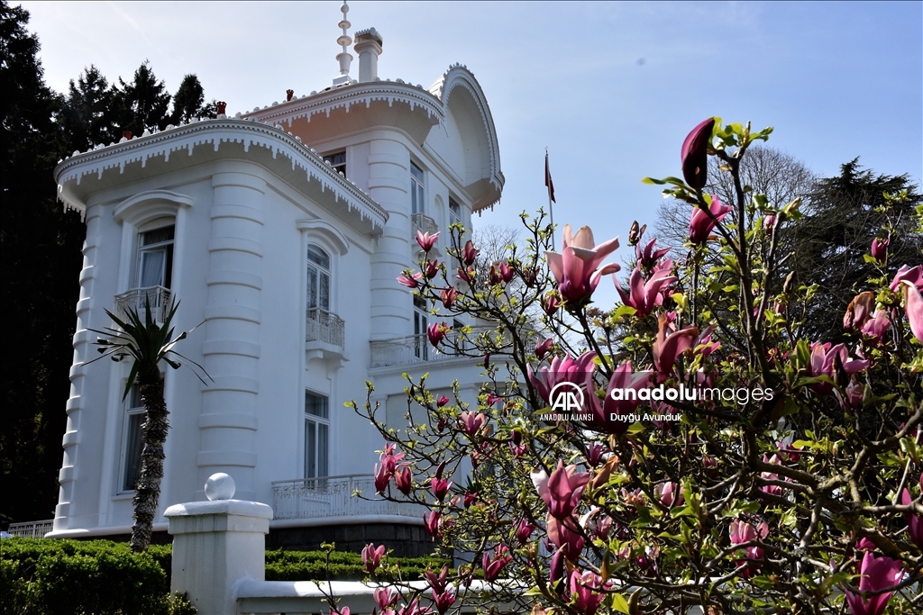 Trabzon ilkbaharın gelmesiyle renklendi
