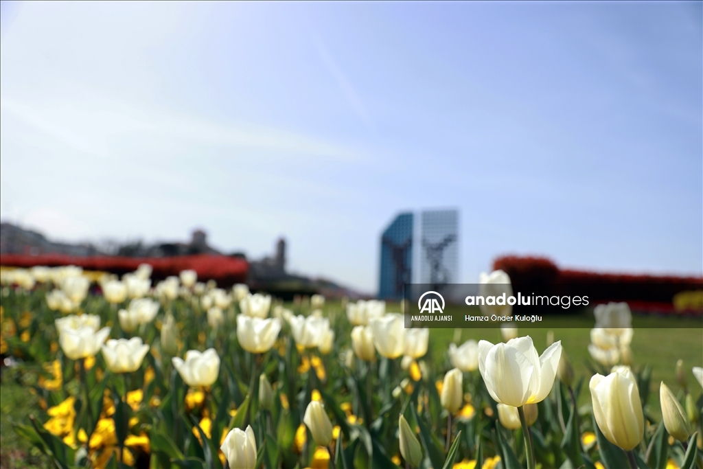 Trabzon ilkbaharın gelmesiyle renklendi