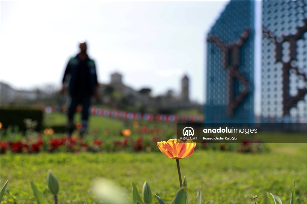 Trabzon ilkbaharın gelmesiyle renklendi