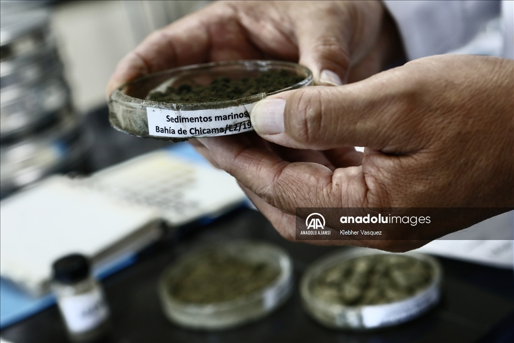 Peru Denizinde biyoçeşitlilik araştırmaları sürüyor
