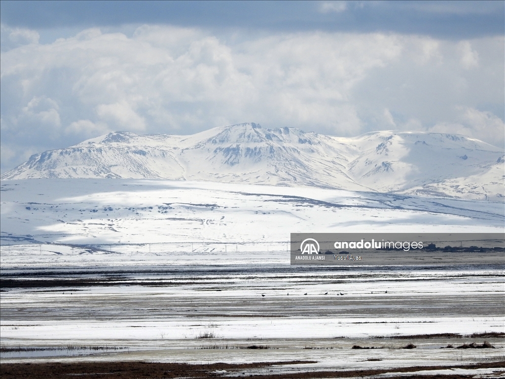 Ardahan'da karın erimesiyle Kura Nehri taştı