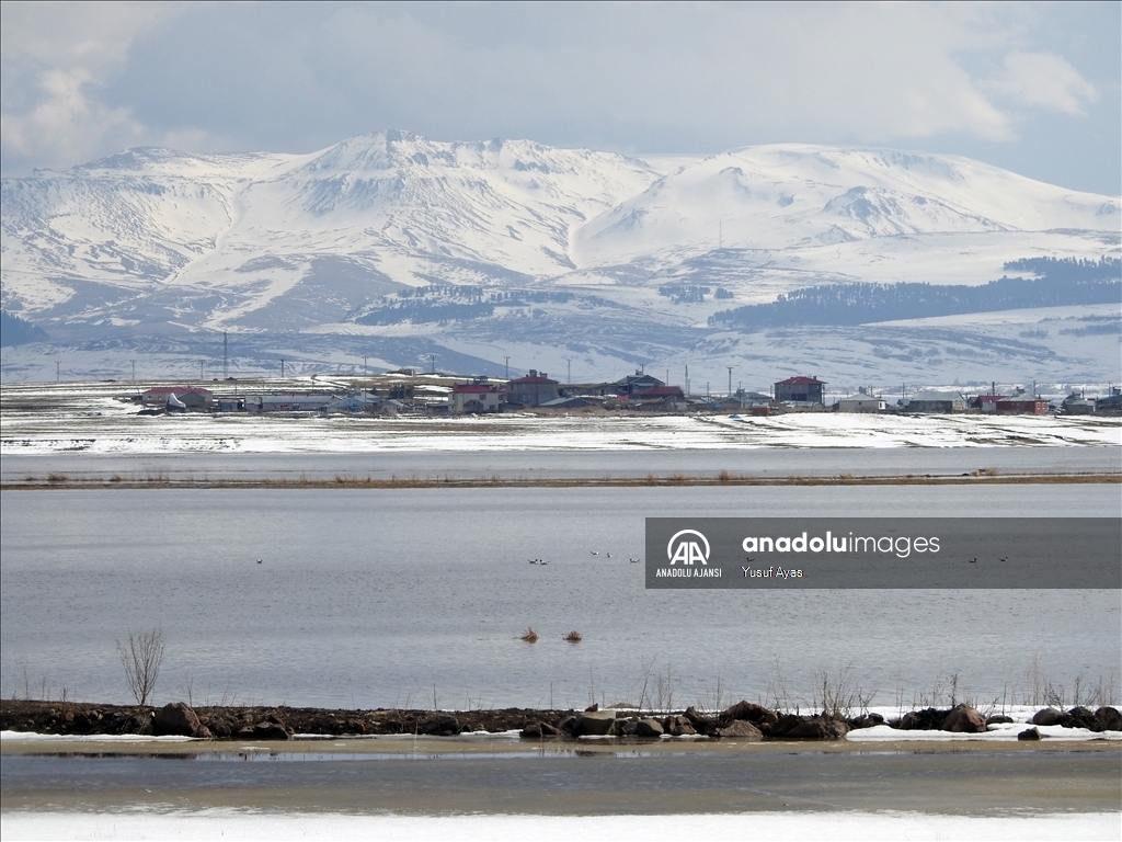Ardahan'da karın erimesiyle Kura Nehri taştı