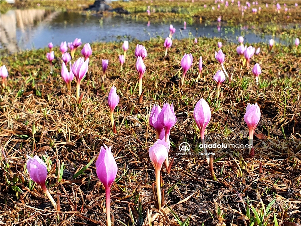 Erzurum'un yükseklerinin bir yanı kar, bir yanı bahar