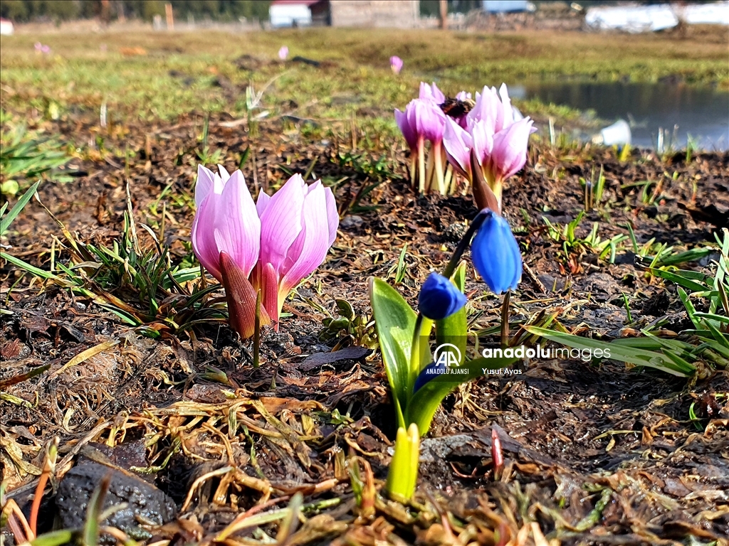Erzurum'un yükseklerinin bir yanı kar, bir yanı bahar