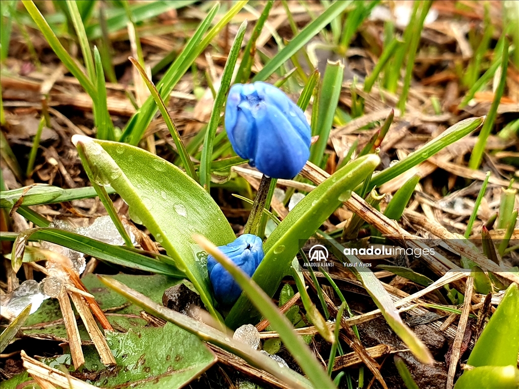 Erzurum'un yükseklerinin bir yanı kar, bir yanı bahar