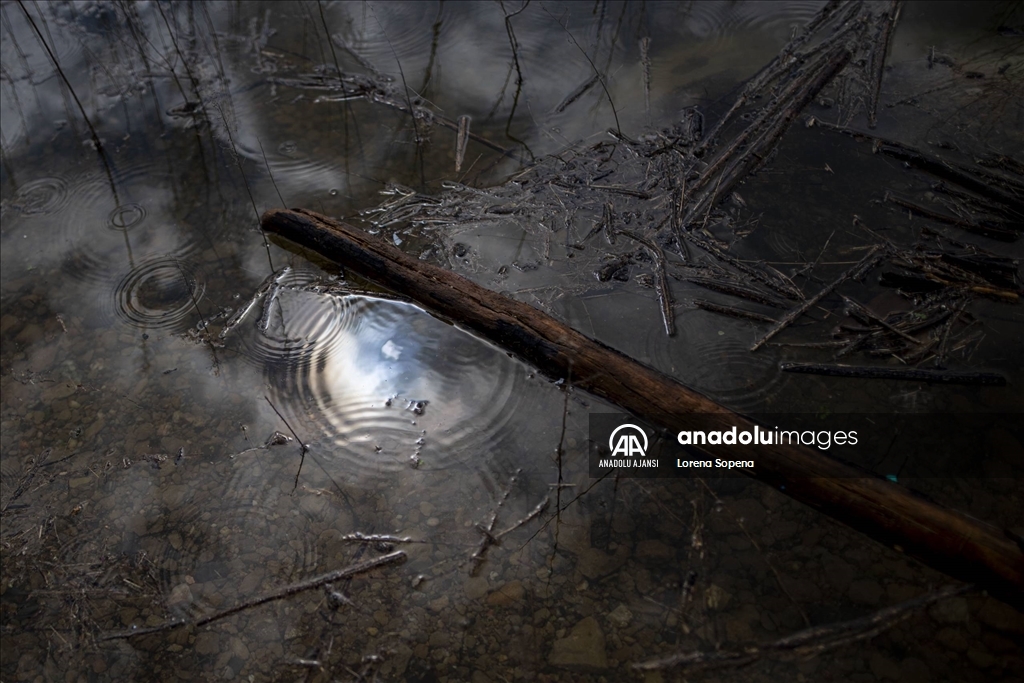 Katalonya’da Mart yağmurları ile su rezervleri önemli ölçüde arttı