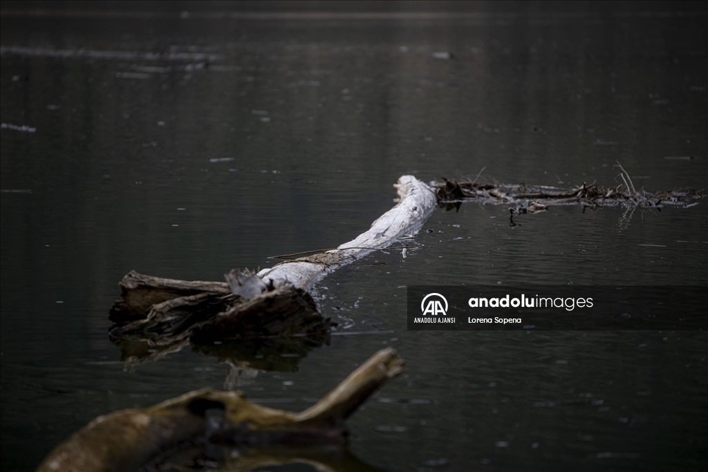 Katalonya’da Mart yağmurları ile su rezervleri önemli ölçüde arttı