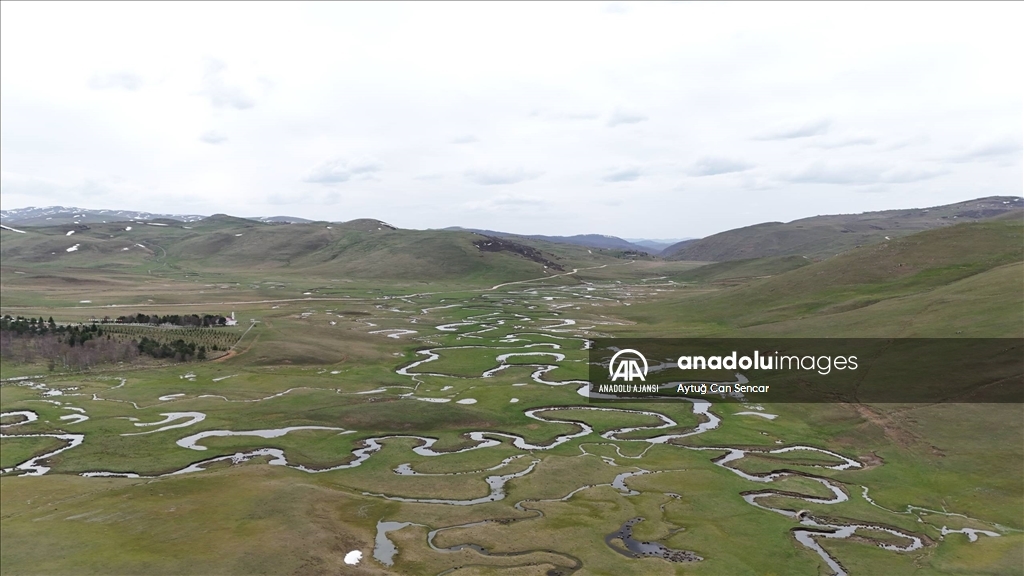 Ordu'nun menderesleriyle ünlü Perşembe Yaylası