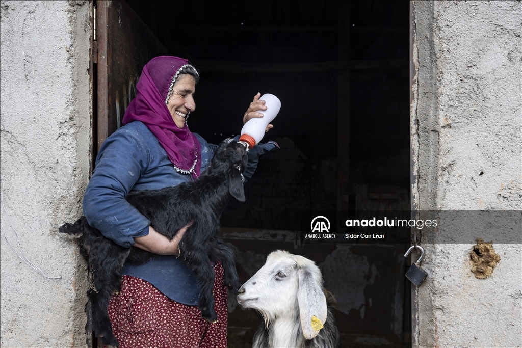 Ajeldarên Tunceliyî bi xwedîkirina karik û berxikan pêşwaziya biharê dikin 9