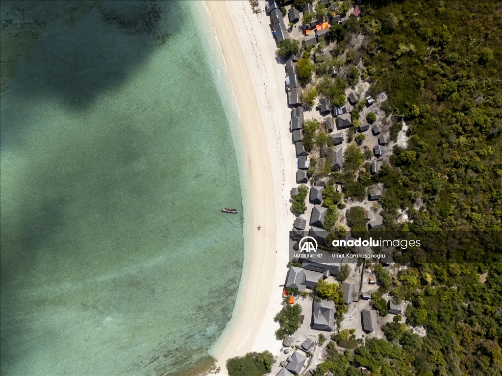 Zanzibar Island draws visitors with unique "Blue Safari" tours