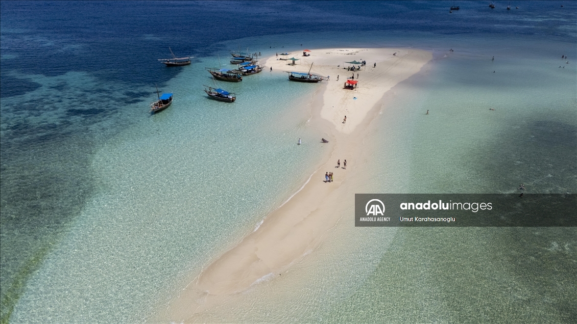 Zanzibar Island draws visitors with unique "Blue Safari" tours