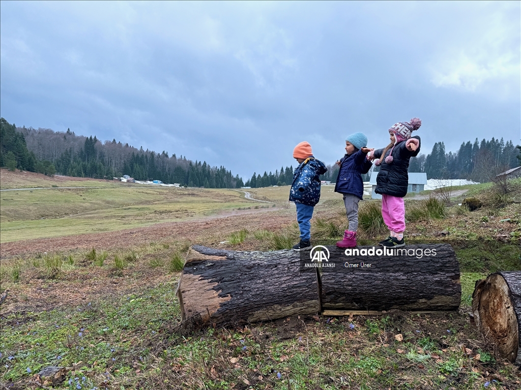 Düzce'deki yaylalar, kışın ve ilkbaharın izlerini taşıyor