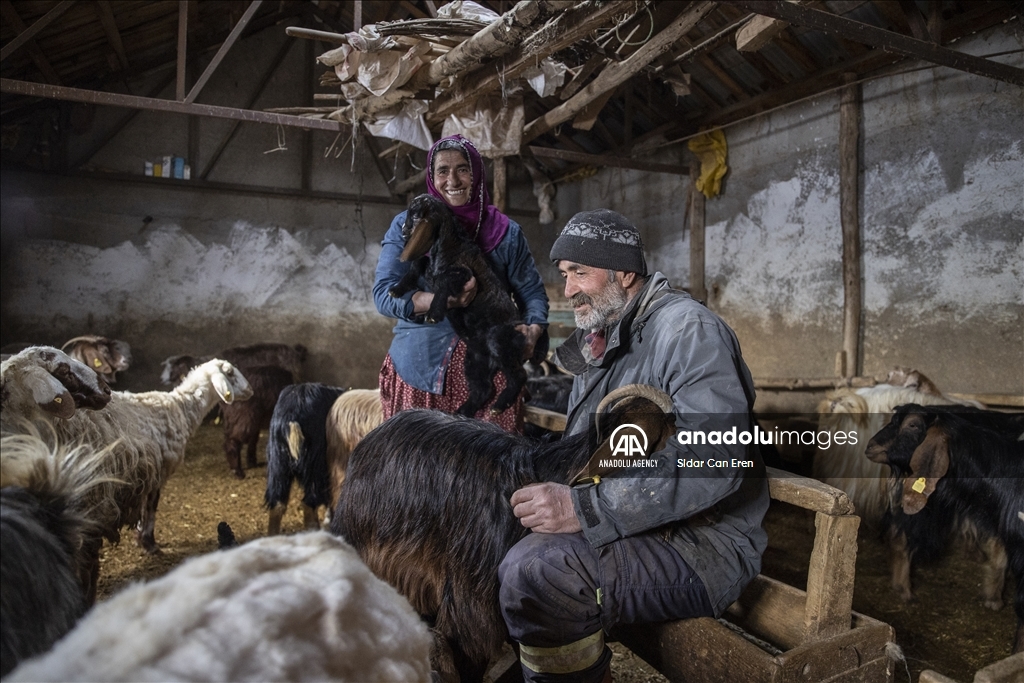 Ajeldarên Tunceliyî bi xwedîkirina karik û berxikan pêşwaziya biharê dikin 8