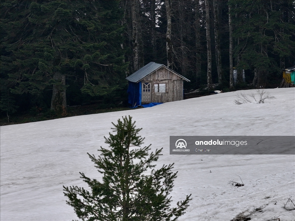 Düzce'deki yaylalar, kışın ve ilkbaharın izlerini taşıyor