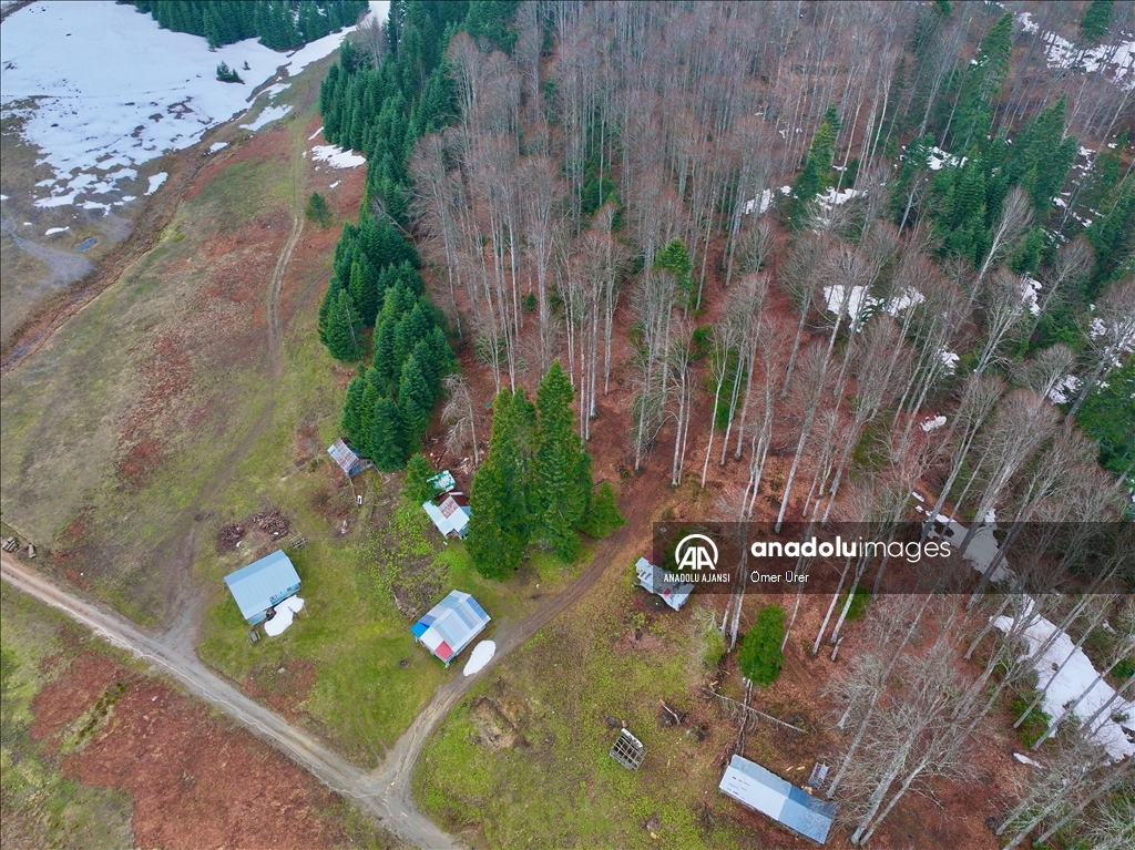 Düzce'deki yaylalar, kışın ve ilkbaharın izlerini taşıyor