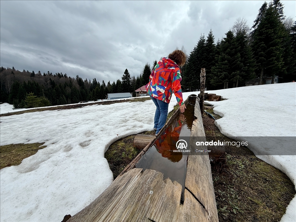 Düzce'deki yaylalar, kışın ve ilkbaharın izlerini taşıyor