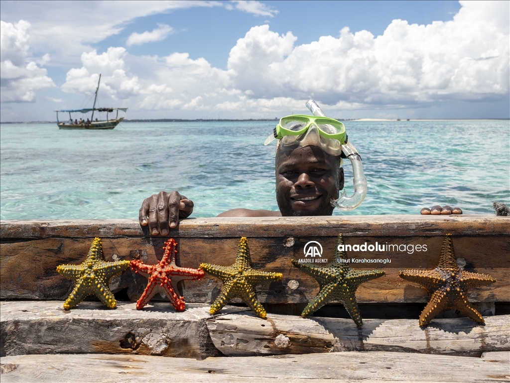 Zanzibar Island draws visitors with unique "Blue Safari" tours
