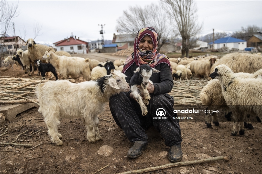 Ajeldarên Tunceliyî bi xwedîkirina karik û berxikan pêşwaziya biharê dikin 3