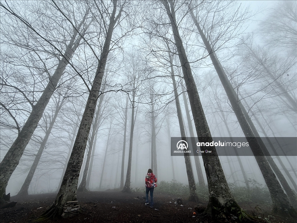 Düzce'deki yaylalar, kışın ve ilkbaharın izlerini taşıyor