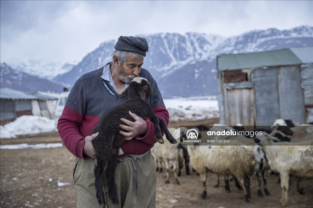 Ajeldarên Tunceliyî bi xwedîkirina karik û berxikan pêşwaziya biharê dikin