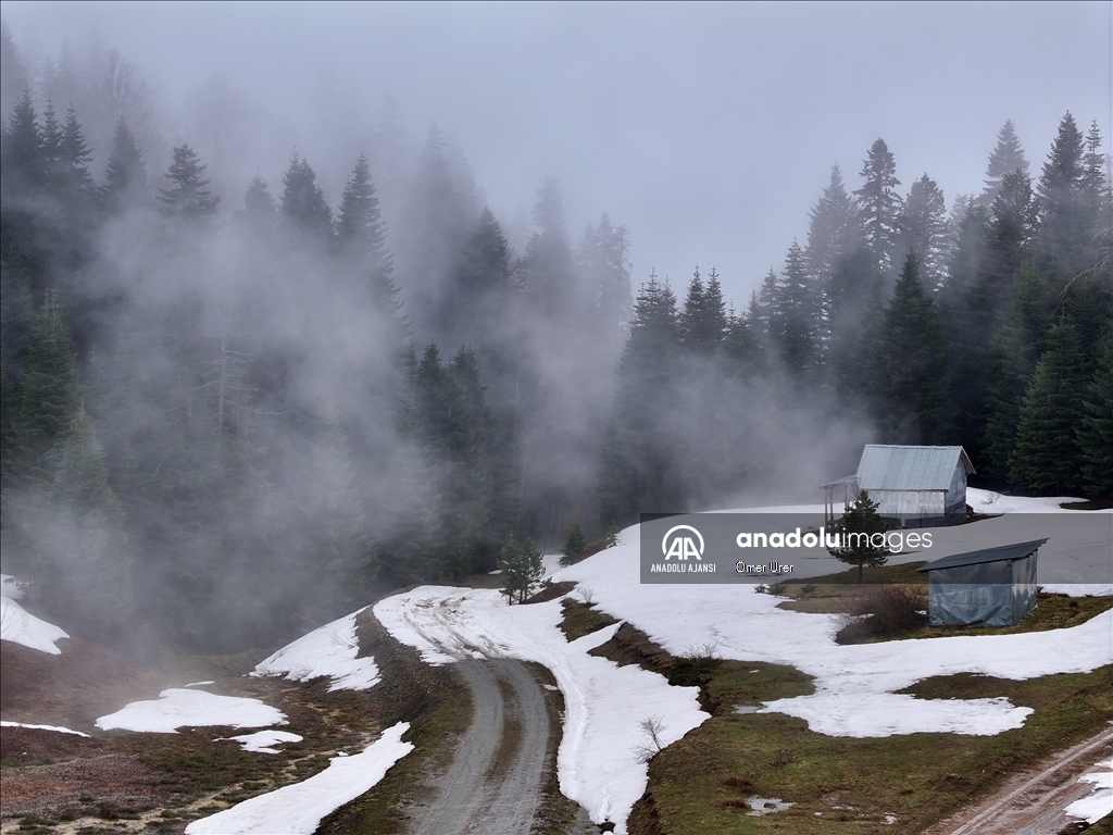 Düzce'deki yaylalar, kışın ve ilkbaharın izlerini taşıyor