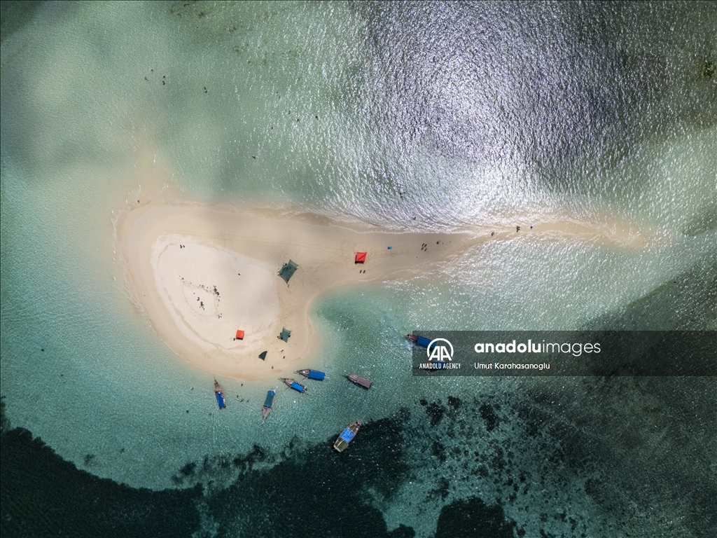 Zanzibar Island draws visitors with unique "Blue Safari" tours
