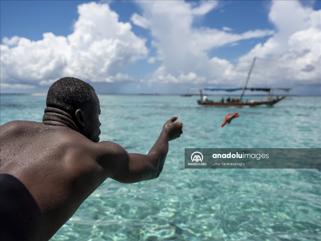 Zanzibar’ın turkuaz sularında mavi safari: Kaptan Süleyman’la bir gün