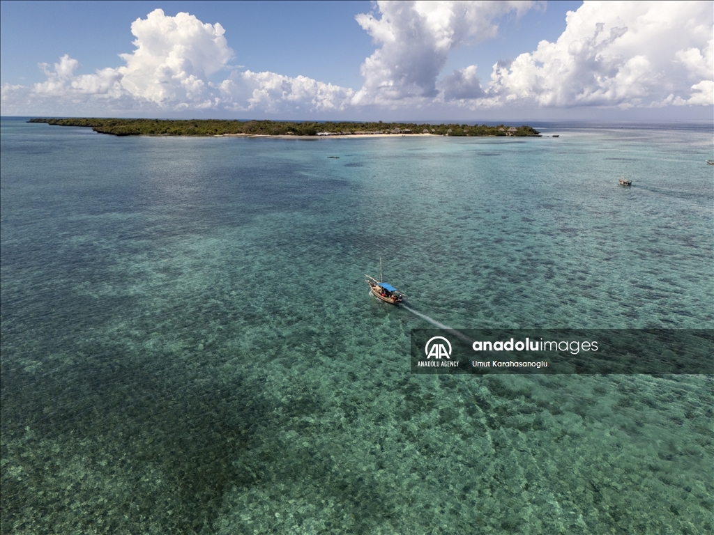 Zanzibar Island draws visitors with unique "Blue Safari" tours