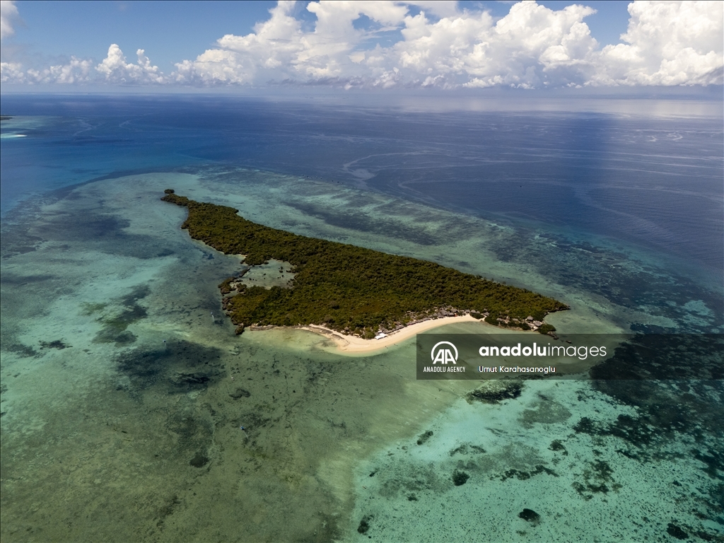 Zanzibar Island draws visitors with unique "Blue Safari" tours