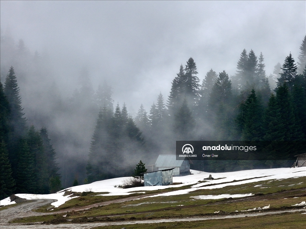 Düzce'deki yaylalar, kışın ve ilkbaharın izlerini taşıyor